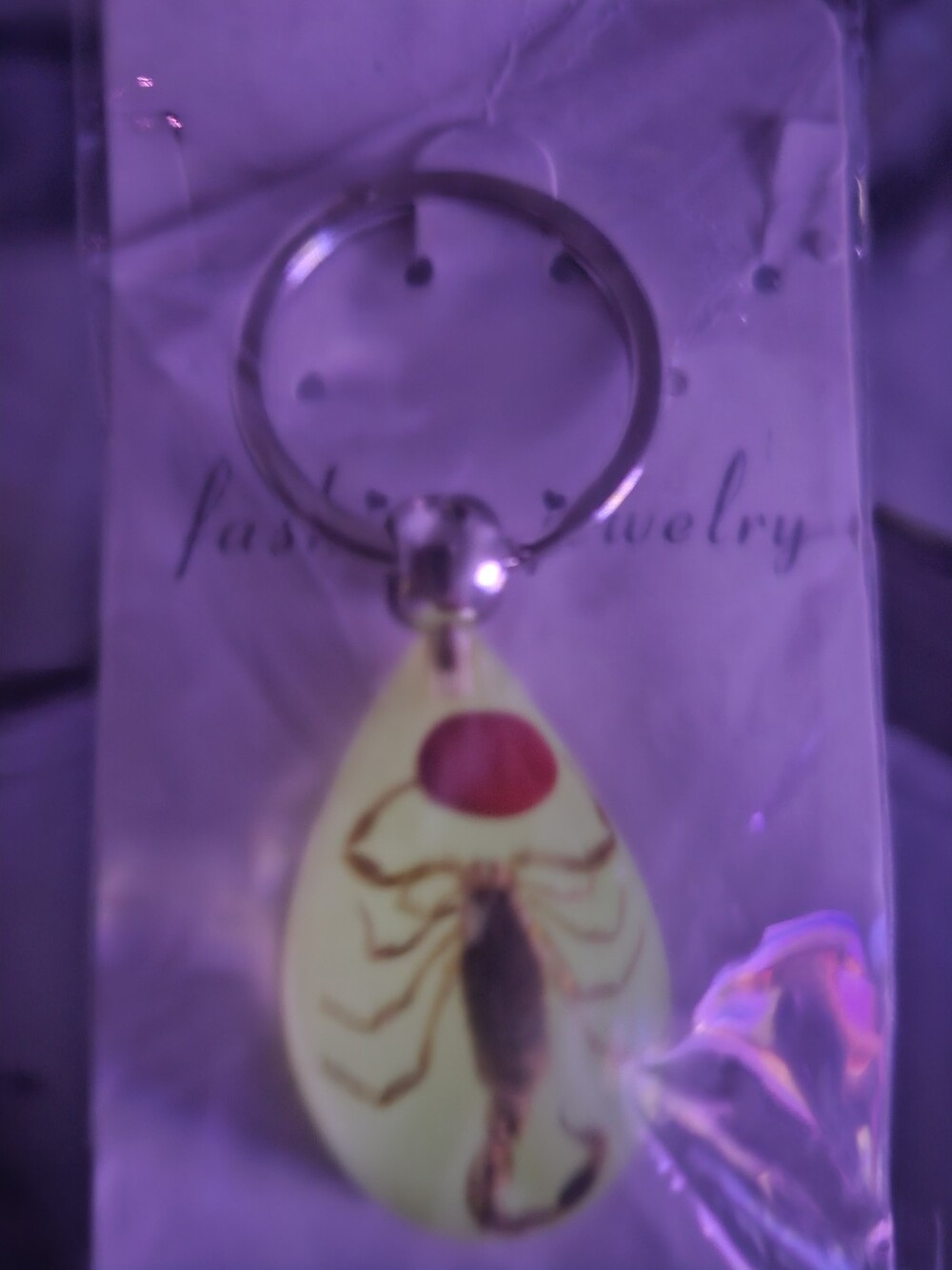 Glow in the Dark Resin Scorpion Keychain Key Ring Fob Specimen